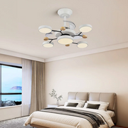 Round Metal Led Ceiling Fan Light