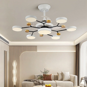 Round Metal Led Ceiling Fan Light