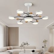 Round Metal Led Ceiling Fan Light