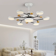 Round Metal Led Ceiling Fan Light