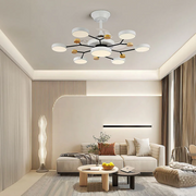 Round Metal Led Ceiling Fan Light