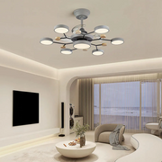 Round Metal Led Ceiling Fan Light