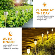 Outdoor Solar Garden Path Light