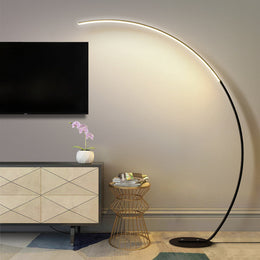 Source Cross-border C-Type Phishing Floor Lamp