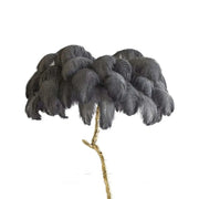 Chic Feather Decorated Floor Lamp